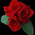 Reshma Singh (@mamta47620670) Twitter profile photo Reshma Singh (@mamta47620670) Twitter profile photo