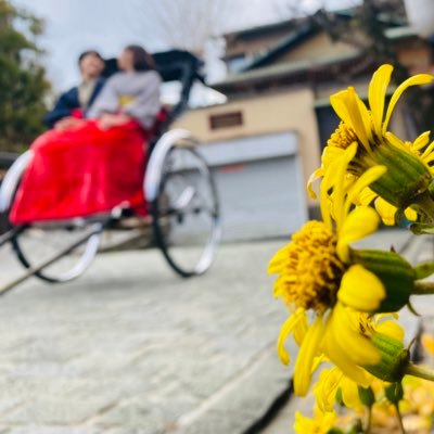 EQ6YVrdTdO2IMwc's profile picture. 此花中学→柴島高校 元女子サッカー部 バンド大好き！ 大学生なう