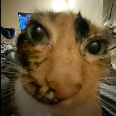 qikmilly's profile picture. 🍒