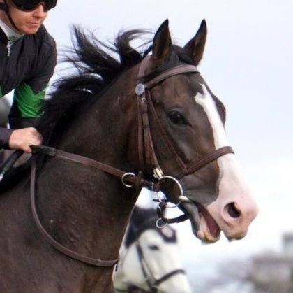 mec_nfhc's profile picture. 競馬（豆馬券と一口馬主）と飲酒をするアカウント。元出資馬:ヘヴンズクライ／横浜 Deファン（ゆるめ）