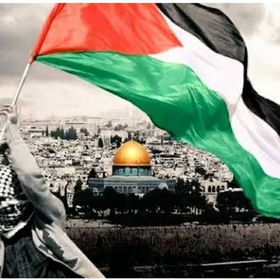 لا تأسفن علي غدر الزمان ، فاطالما رقصت علي جثث الاسود ، كلاب . لا تحسبن برقصها تعلوا علي اسيادها ، تبقي الاسود اسود و الكلاب كلاب