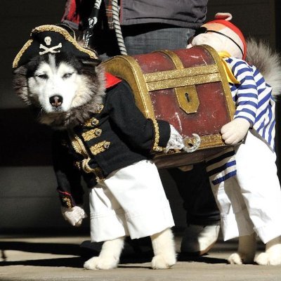 TraderInvetion's profile picture. I am a cryptocurrency enthusiast. The people and things we experience in the journey of life, whether good or bad, are the experience and wealth of our life.