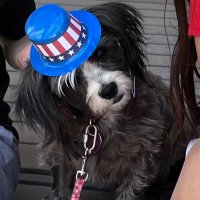 Rascal (@rascal26493512) 's Twitter Profile