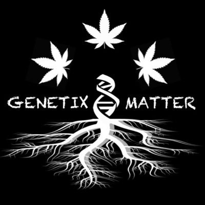 GenetixMatter Profile Picture