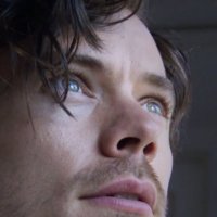 Wibke 🕊️ (@harrydearest) 's Twitter Profile