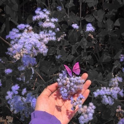 اللهم أغفر لأبي وأرحمه وأجمعنا به في الفردوس الأعلى من الجنة.