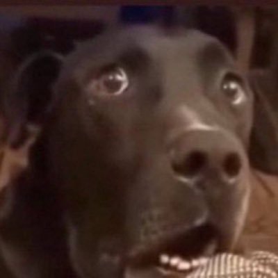 killtony66's profile picture. 