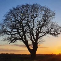 Darren Shaw (@darrenshaw004) 's Twitter Profile