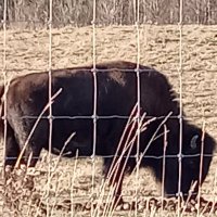 Brian (@trueoffgridder) 's Twitter Profile