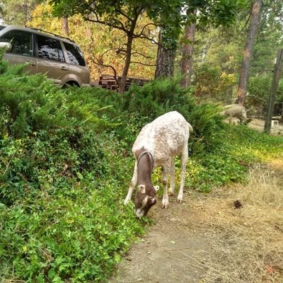 Olol1782586's profile picture. Conservative Constitutionalist who understands the USA is a REPUBLIC NOT a democracy. No PORN I will BLOCK and Report you!