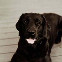TheOlly (@the0lly) 's Twitter Profile