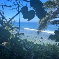 Marlen Hessel (@hesselmarl61024) 's Twitter Profile