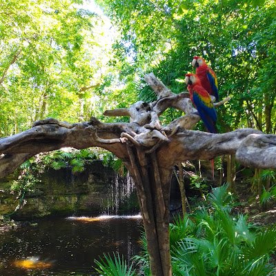 NETOSIS296791's profile picture. 