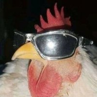 Dic Ryder (@dicryder) 's Twitter Profile