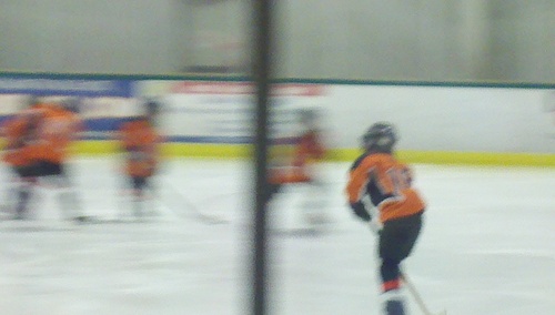 boblewisdel's profile picture. 