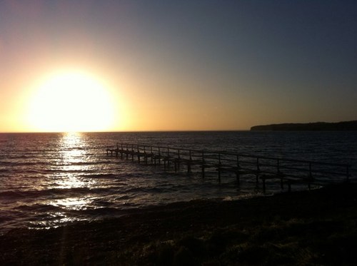 petersejohansen's profile picture. if you have good news you can choose to tell it, if you have bad news you must tell it!