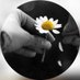 suskunsair.__ (@suskunsair58) Twitter profile photo suskunsair.__ (@suskunsair58) Twitter profile photo