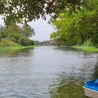 Adi (@adithyakom) 's Twitter Profile