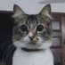 Nala Posting (@cleopatinea) Twitter profile photo Nala Posting (@cleopatinea) Twitter profile photo