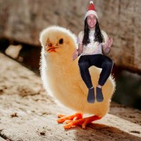 Mickey (@mickeyguitar95) 's Twitter Profile Photo Mickey (@mickeyguitar95) 's Twitter Profile Photo