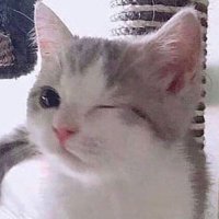 𝓃𝒶𝒸𝒽𝒾 (@_n_a_c_h_i_0_) 's Twitter Profile