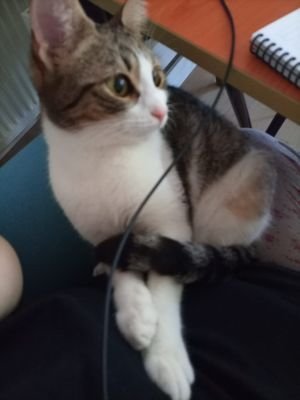 Kazm84660362's profile picture. 