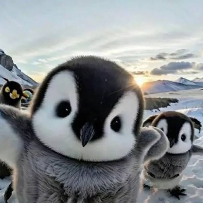 Penguin fan club, Interested in AI/ML Competitive Programmer, High Schooler(12th)