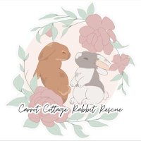 Carrot cottage rabbit rescue(@carrotcottagerr) 's Twitter Profile Photo