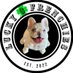 Lucky3 (@lucky3frenchies) Twitter profile photo Lucky3 (@lucky3frenchies) Twitter profile photo