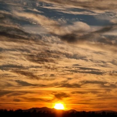 savash769742's profile picture. 