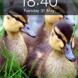 cawoody1's profile picture. wife mother of two grandmother of six