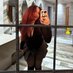 Belle (@bellluvsu_) Twitter profile photo Belle (@bellluvsu_) Twitter profile photo