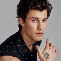 Shawn Mendes Fans(@ShawnMendesFans) 's Twitter Profile Photo