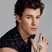 Shawn Mendes Fans (@ShawnMendesFans) Twitter profile photo