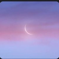 Mackenzie Ziemann (@mziemann49827) 's Twitter Profile