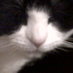 Jane Sweeney๐ (@madcat64) Twitter profile photo Jane Sweeney๐ (@madcat64) Twitter profile photo
