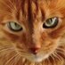 per pi (@_patri_zia_) Twitter profile photo per pi (@_patri_zia_) Twitter profile photo