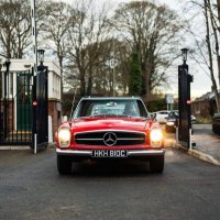 AutoPap(@AutoPap) 's Twitter Profile Photo