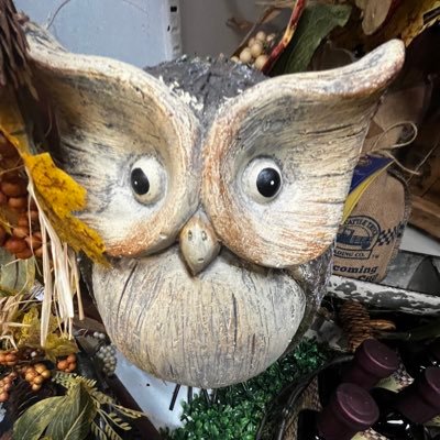 gayrobbarazzi's profile picture.
