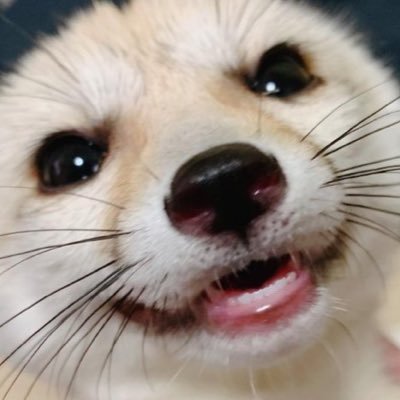 BreggGreg78081's profile picture. 20 and silly