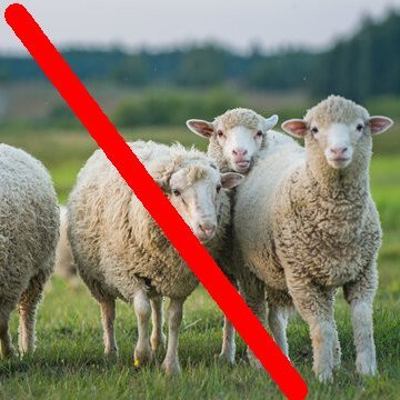 Don't be sheep. Be the 'unsheep'