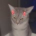 Jess (@catmomceo) Twitter profile photo Jess (@catmomceo) Twitter profile photo