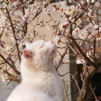 Carol (@feedbrah) 's Twitter Profile Photo