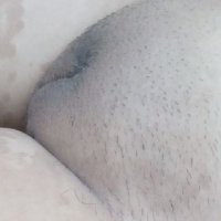 pemula (@syaiful84384675) 's Twitter Profile