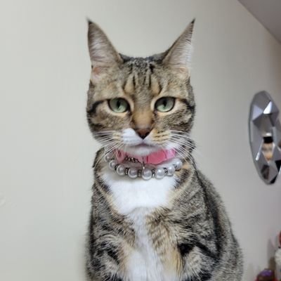 claudiaren's profile picture. EDO.FALLIDO!! CIUDAD EN GUERRA!!  HARTA DE MANTENER SATRAPAS!!