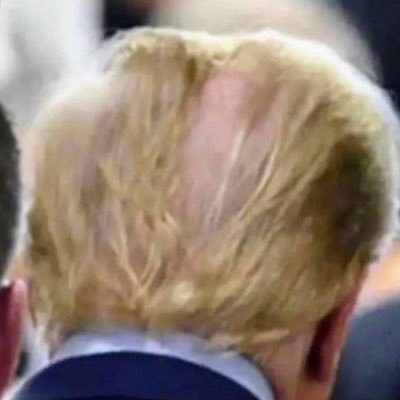 IMPEACHED x 2 !! Hidden under massive amounts of shitty hairspray until now! I flap therefore I speak. #JoeWon #GoBirds #GoPhils