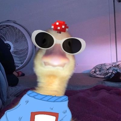 ceyspmre's profile picture. 