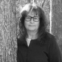 Anne K. Hawkinson, Writer/Author(@annehawkinson) 's Twitter Profile Photo