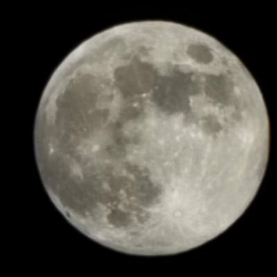 JAG__MS's profile picture. Just 😎. X is Twitter 1.0 in disguise. They shadow-banned me and made bots to follow me and my posts. If 'dual citizenship' is not  banned, US/West is doomed !