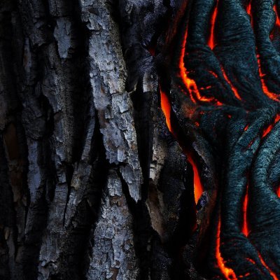 141863187a's profile picture. 6584186